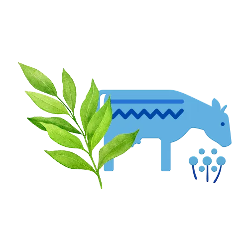 Молоко 2,5%, 930 мл