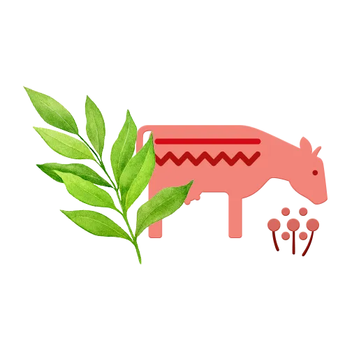 Молоко 3,2%, 1400 мл